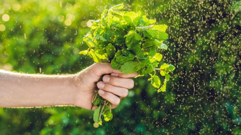 Adsiz tasarim 1 71 - Marmara Bölge Gazetesi