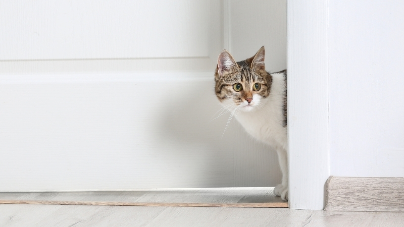 Adsiz tasarim 131 - Marmara Bölge Gazetesi