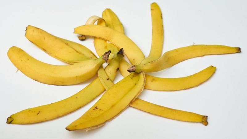 Adsiz tasarim 135 - Marmara Bölge Gazetesi