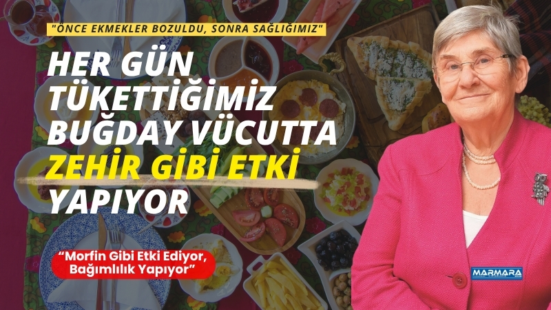 Modern buğdaydan yapılan ekmeklerin sağlığa zarar verdiğini belirten Prof. Dr.