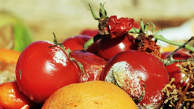 Adsiz tasarim 2 115 - Marmara Bölge Gazetesi