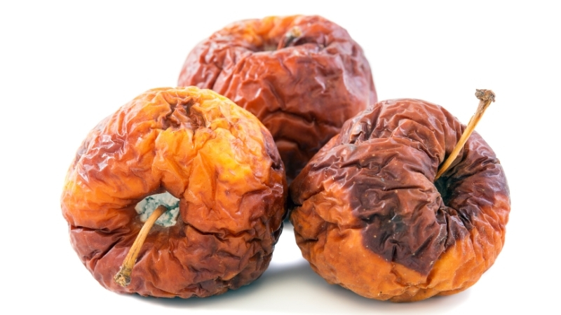 Meyveleriniz Aniden Çürüyorsa Dikkat! Adsiz tasarim 2 143 - Marmara Bölge Gazetesi