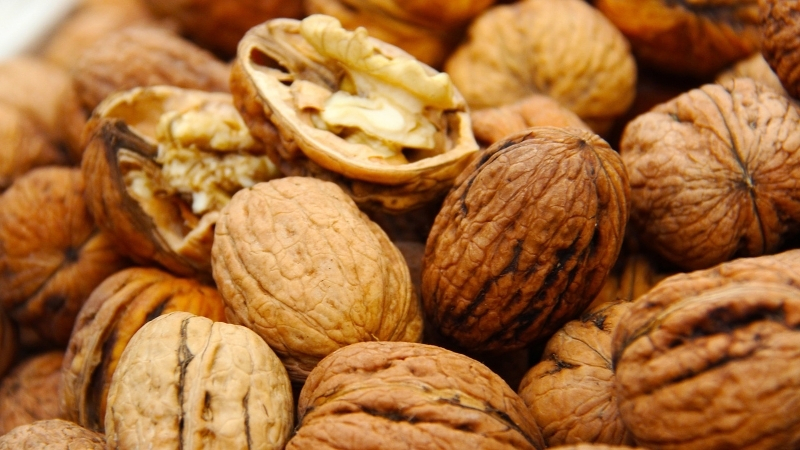 Balıkesir’de kadınların doğal epilasyon tercihi ceviz kabuğu kürü oldu. Kimyasal