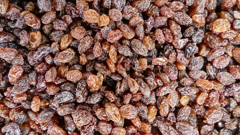 İster Fırında İster Güneşte: Üzüm Kurutmanın Sırrı! Adsiz tasarim 257 - Marmara Bölge Gazetesi