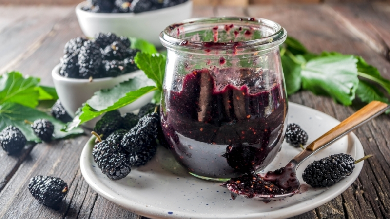 Demir eksikliğiyle mücadelede doğal ve lezzetli bir alternatif sunan dut