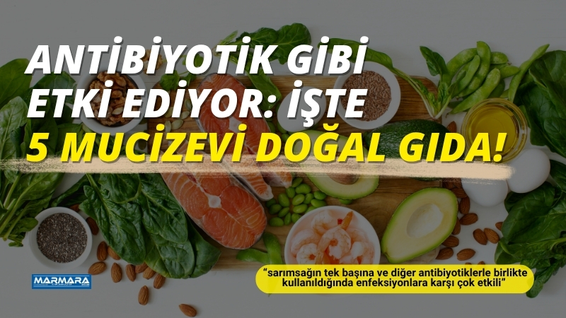 Antibiyotiklere dirençli bakterilere karşı doğanın sunduğu alternatifler giderek daha fazla