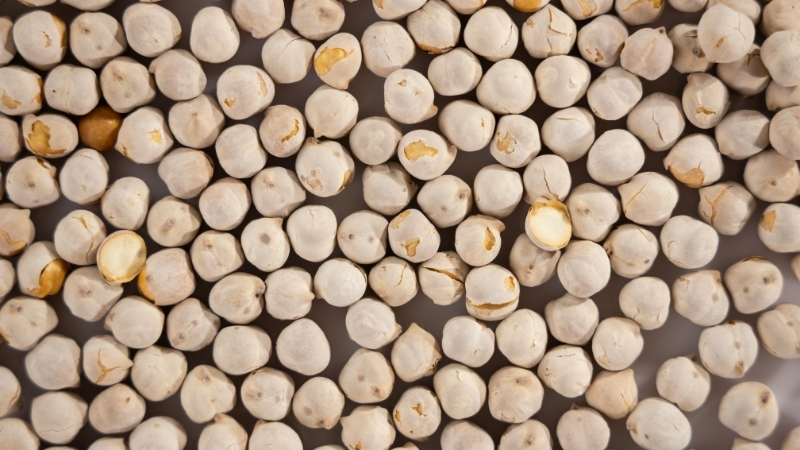 Adsiz tasarim 95 - Marmara Bölge Gazetesi