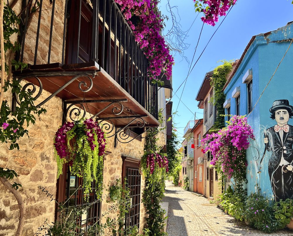 Ayvalik Macaron neighborhood - Marmara Bölge Gazetesi