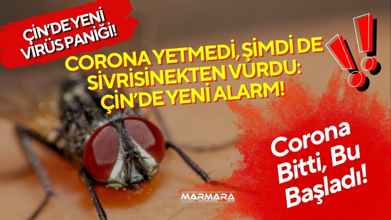 Çin'in Guangdong eyaletinde sivrisineklerden bulaşan Chikungunya virüsü nedeniyle 7 binden