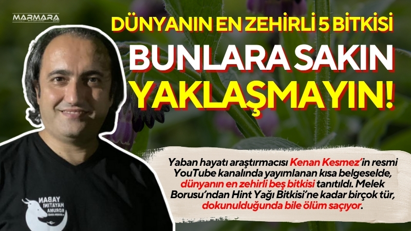 Yaban hayatı araştırmacısı Kenan Kesmez’in resmi YouTube kanalında yayımlanan kısa
