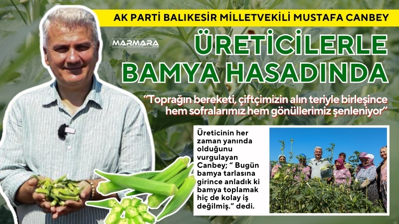 AK Parti Balıkesir Milletvekili Mustafa Canbey, Gömeç ilçesinde üreticilerle birlikte