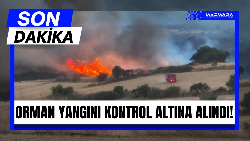 Balıkesir’in Susurluk ilçesine bağlı Günaydın Mahallesi Karaorman mevkiinde çıkan yangın,