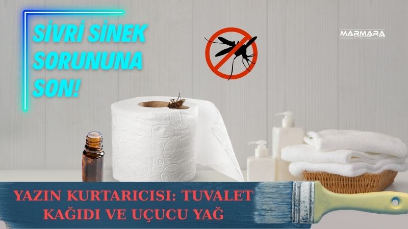 Yaz aylarında sivrisineklerden kurtulmak artık çok daha kolay! İspanya’dan yayılan