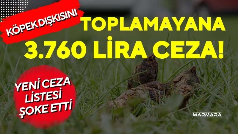Berlin’de çevreyi kirletenlere yönelik yeni ceza tarifesi hazırlanıyor. Sigara izmaritinden