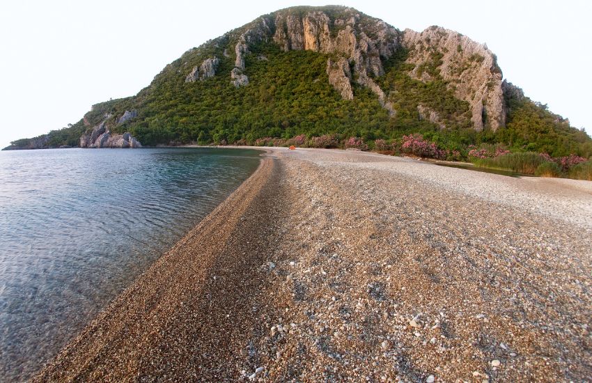 Turkuaz denizi, çam ormanları ve Caretta caretta’ların mucizevi yolculuğu ile