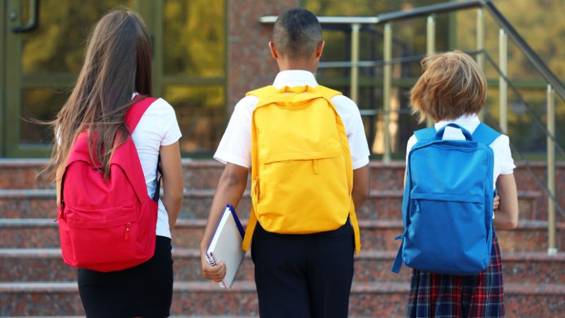 Evinize ve ofisinize Bu Cicekleri Alin Havanizi Temizleyin 1 - Marmara Bölge Gazetesi