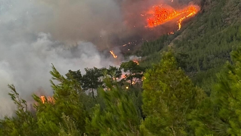 Çanakkale’deki orman yangınına DSİ 25. Bölge Müdürlüğü, iş makineleri ve