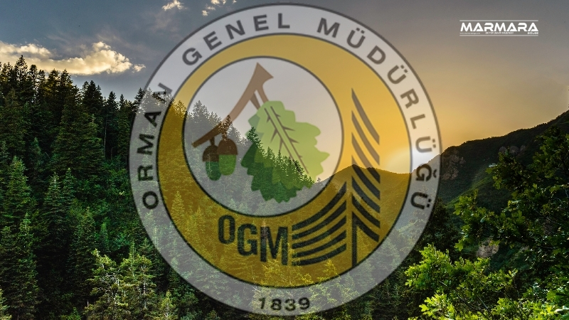 Balıkesir Orman Bölge Müdürlüğü, merkez birimlerinde görevli personele yönelik “İş