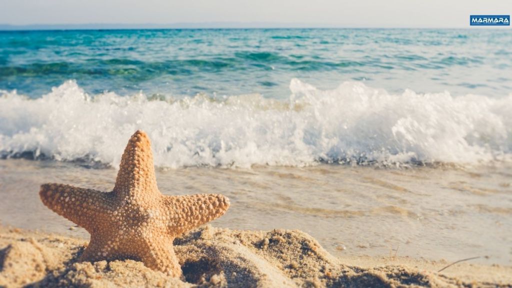 Bodrum’un en gözde tatil beldelerinden biri olan Torba Mahallesi sınırlarında