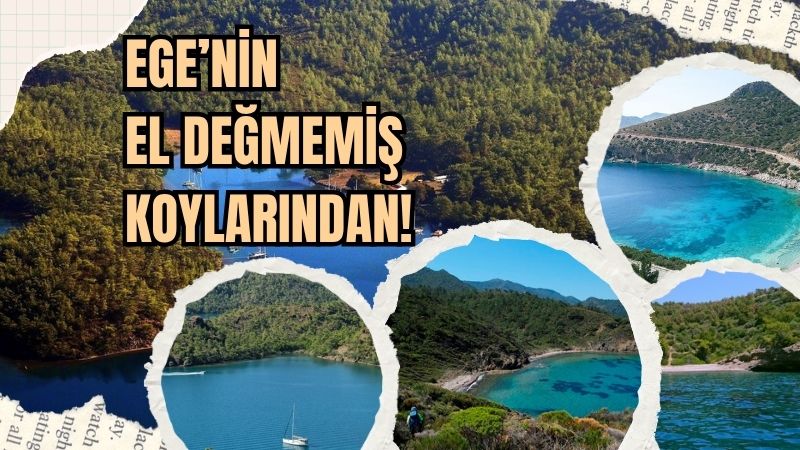 Ege’nin mavisiyle yeşilin kusursuz uyumuna şahit olmak isteyenler için Çatı