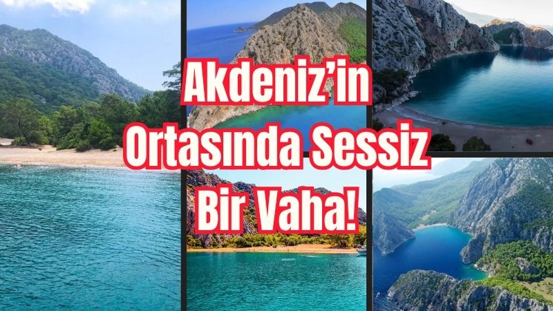 Ne bir tesis, ne bir kalabalık... Sadece kuş sesleri, çam