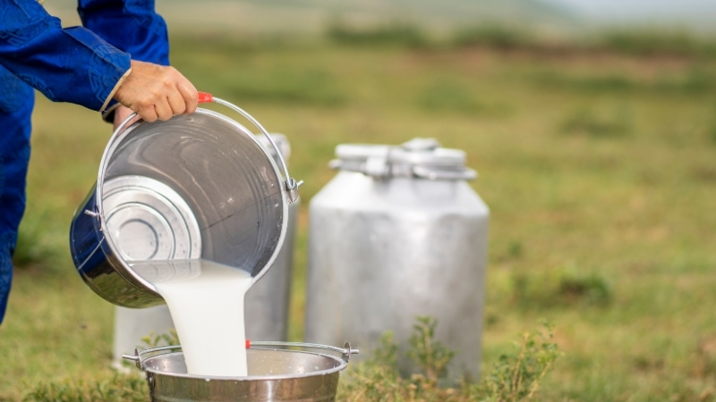 SUT - Marmara Bölge Gazetesi