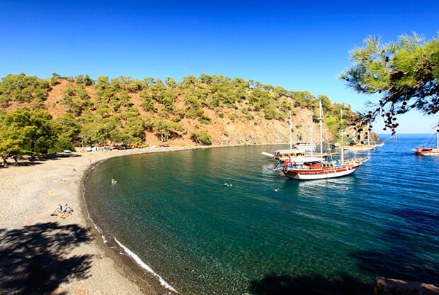 Mavi ve Yeşilin Kucaklaştığı Saklı Koy alacasu koyu kamp alani hakkinda bilgi - Marmara Bölge Gazetesi