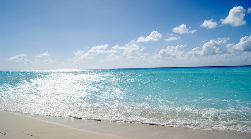 balikesir sarimsakli plaji - Marmara Bölge Gazetesi