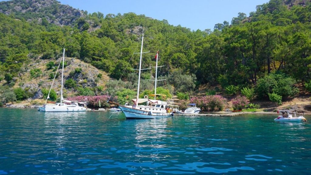 Ege’de Huzur ve İlham Arayanların Yeni Adresi bedri rahmi koyu 1140x641 1 - Marmara Bölge Gazetesi