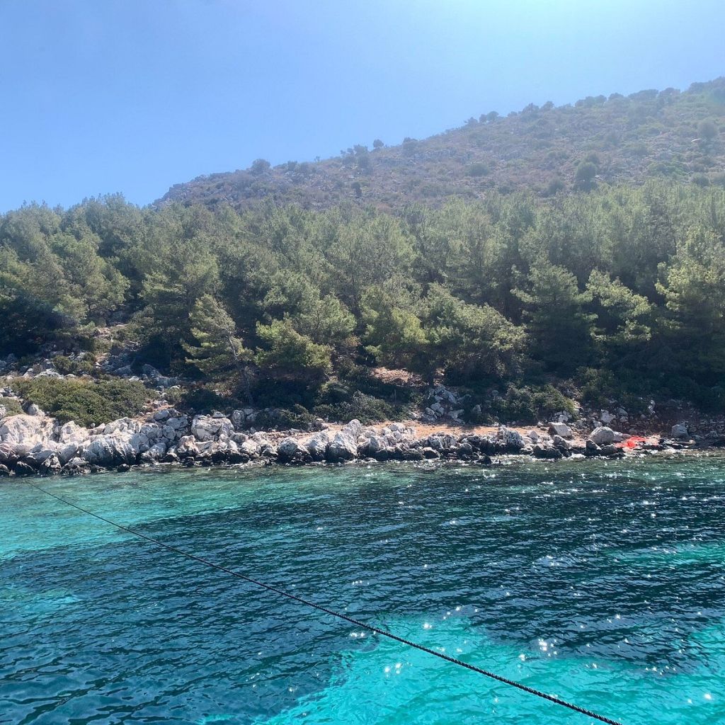 Ege’de Turkuaz’ın En Sessiz Hali! caption - Marmara Bölge Gazetesi
