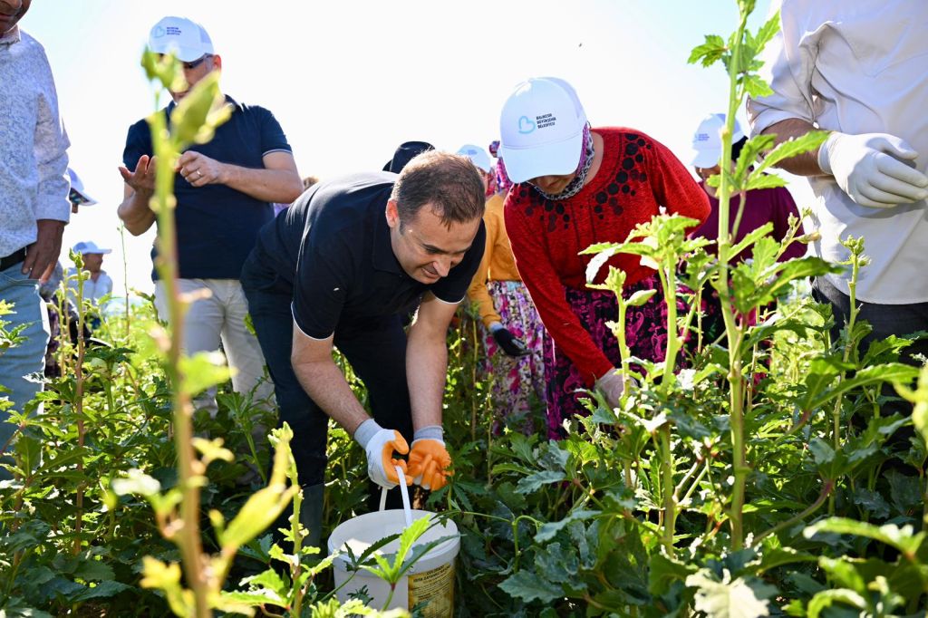 d5c1a880 dc09 4e72 9177 569bfc52824e - Marmara Bölge Gazetesi