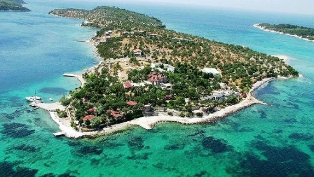 dikili bademli - Marmara Bölge Gazetesi