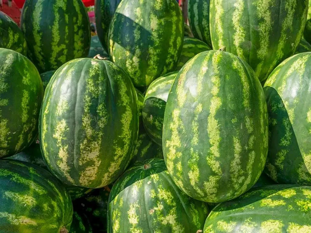 Yazın en çok tüketilen meyvesi karpuz, yanlış üretim ve saklama