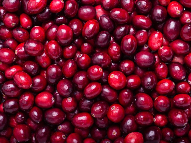 ff9f0e49 13be 4b31 a19d 08d7064f88aa 544a1b98 3f36 4736 bebb 1f0bbdd0ed0d - Marmara Bölge Gazetesi