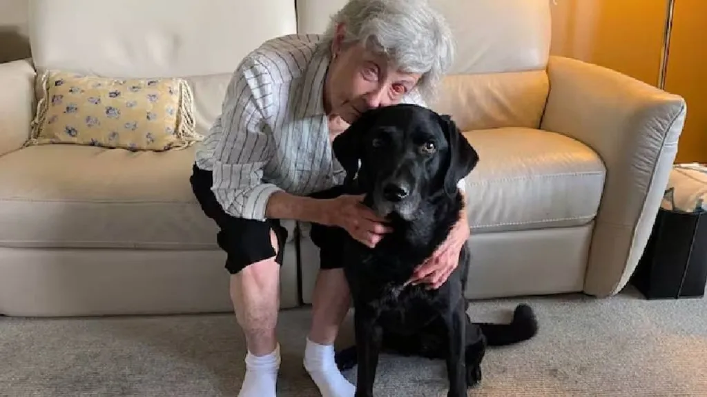 goz dis ameliyati lane - Marmara Bölge Gazetesi