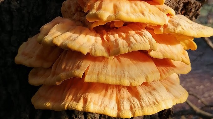 hq720 7 - Marmara Bölge Gazetesi