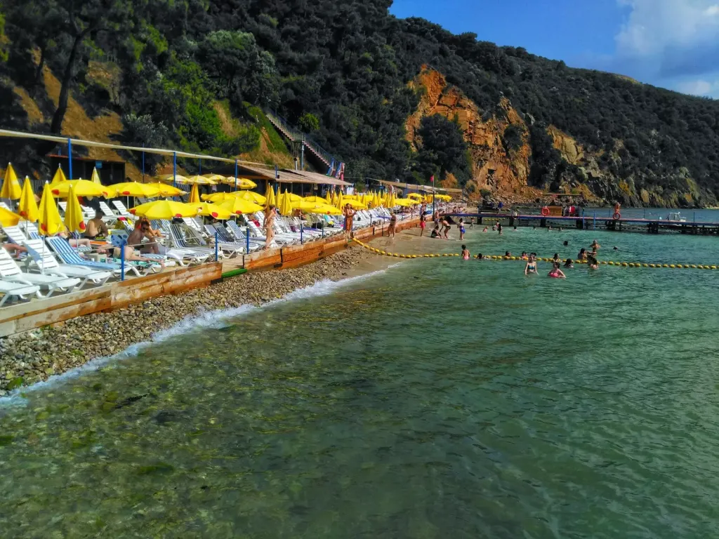 - Marmara Bölge Gazetesi