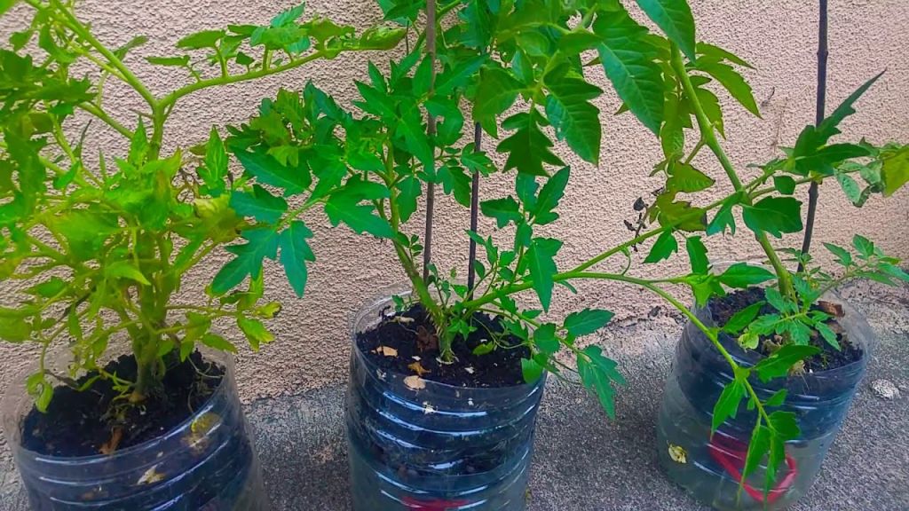 maxresdefault 17 - Marmara Bölge Gazetesi