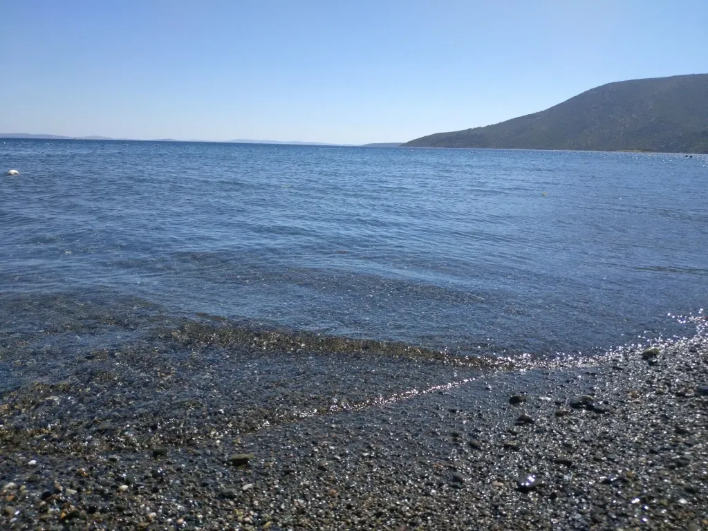 Keşfeden Dönemiyor: İzmir’in Gölgesinde Saklı Tropik Koy mercan koy - Marmara Bölge Gazetesi