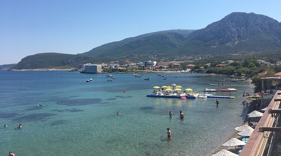 mimoza koyu 1 - Marmara Bölge Gazetesi