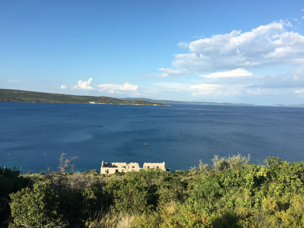 s a l m a n - Marmara Bölge Gazetesi