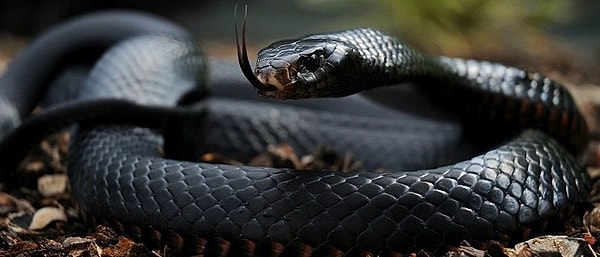 s e5e8babcc44850ef848bf94747e0b0c46e2c297c - Marmara Bölge Gazetesi