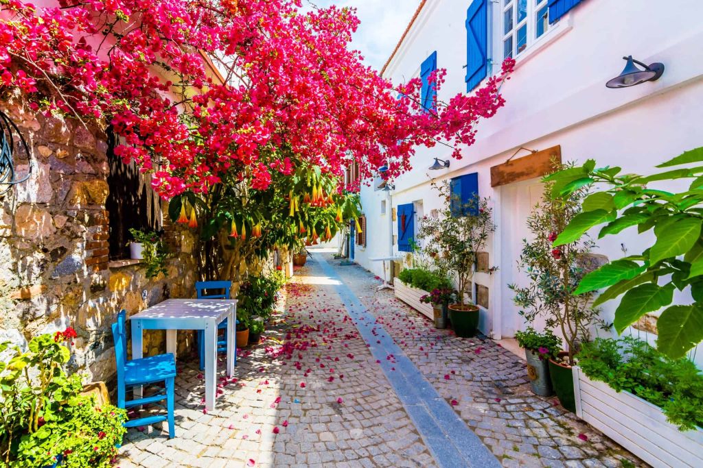 Emeklilikte Huzurun Adresi: Sığacık’ta Hayat Bir Masal Gibi 0anagorsel scaled 2 - Marmara Bölge Gazetesi