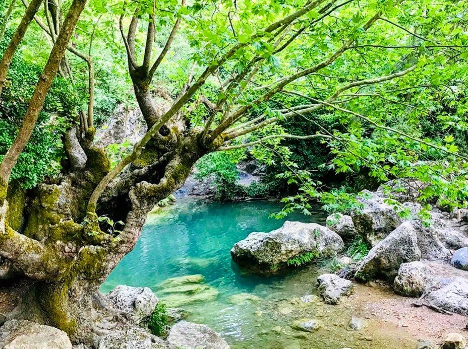 İzmir’e 40 Dakika Uzakta: Çam Gölgesinde Buz Gibi Doğal Havuz 118287222 3278723218921612 2892630952406280220 n - Marmara Bölge Gazetesi
