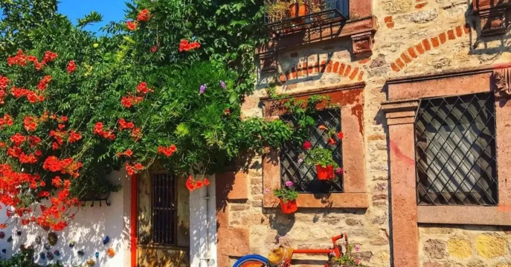 Burası İspanya Değil, Ayvalık’ın Kalbi! Bu Köye Giden Bir Daha