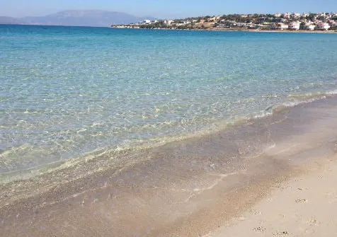 1653479524 fbd97e6268a9a88acd539e407a2c8147.jpeg - Marmara Bölge Gazetesi