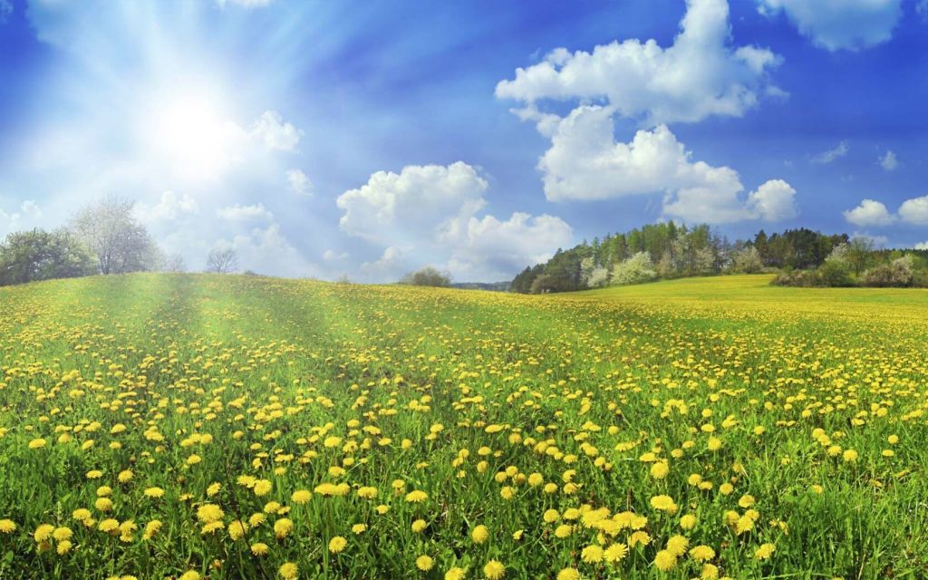 1688510374 kartin papik pro p kartinki krasivie priroda leto solnechnii 9 - Marmara Bölge Gazetesi