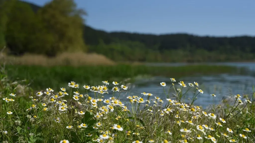 18042021 120142279 3 golcuk 5 1 - Marmara Bölge Gazetesi