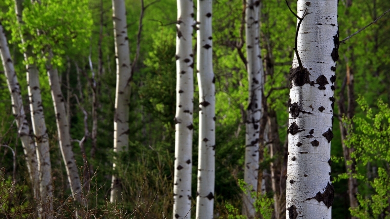 2 8 - Marmara Bölge Gazetesi