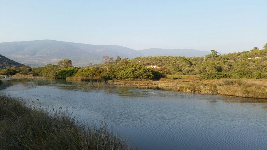 20160809 184108 largejpg 1 - Marmara Bölge Gazetesi